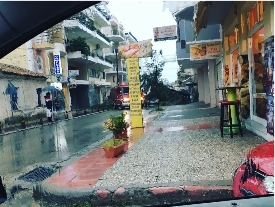 Πτώσεις δέντρων από την κακοκαιρία στην Αμαλιάδα