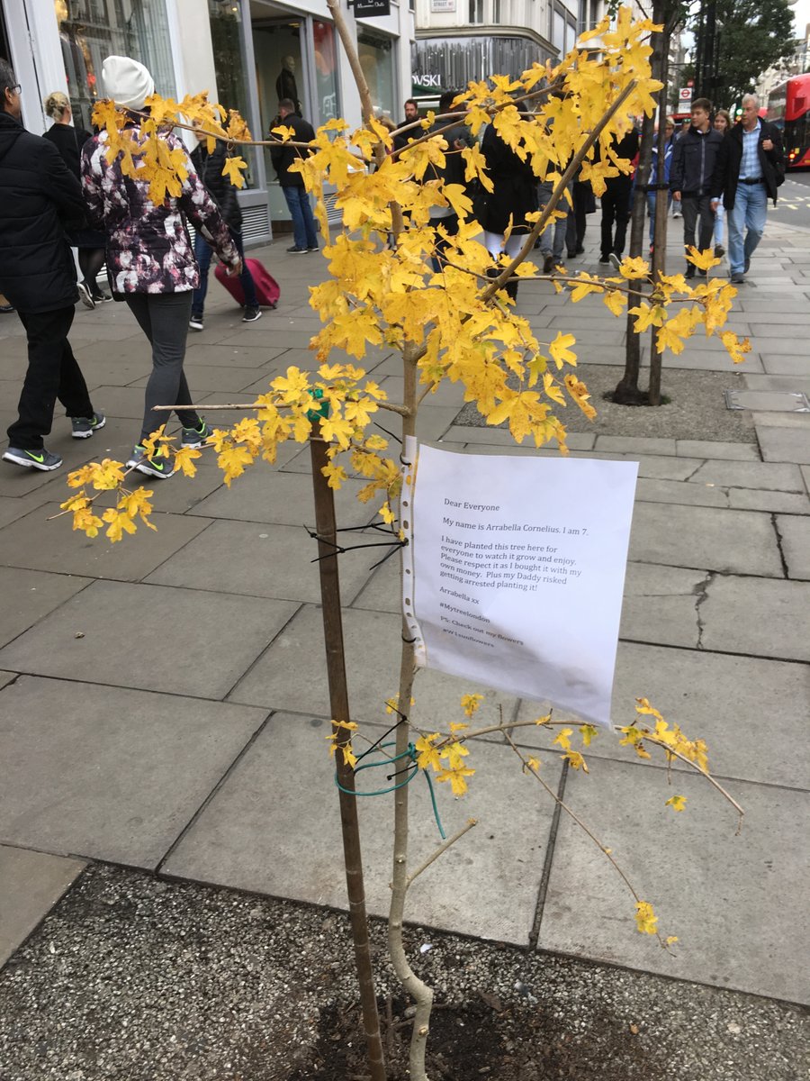 Αξιοθέατο το δέντρο που φύτεψε 7χρονη στην Oxford Street – ΒΙΝΤΕΟ – ΦΩΤΟ