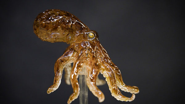 Ιαπωνία: Έργα τέχνης σμιλεμένα πάνω σε… καραμέλα