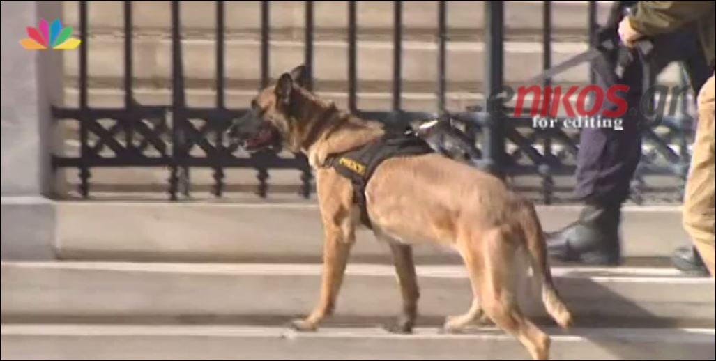 Τα ΤΕΕΜ «χτενίζουν» το κτίριο του ΣτΕ – Άγνωστο αν θα συνεχιστεί η συνεδρίαση – ΒΙΝΤΕΟ