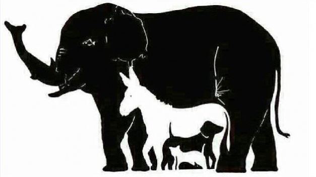 Πόσα ζώα βλέπετε στην φωτογραφία; – Η σπαζοκεφαλιά που έγινε viral