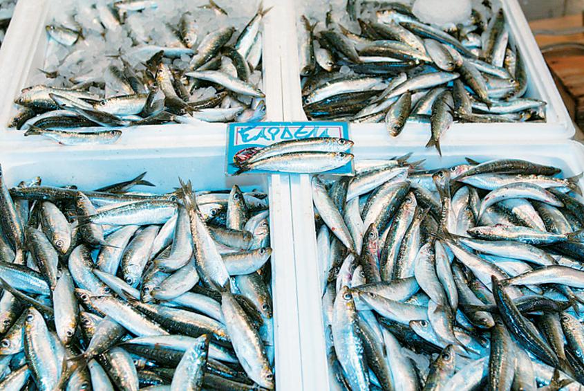 «Στροφή» των Ελλήνων στη σαρδέλα και τον γαύρο