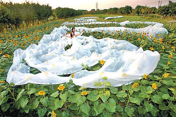 Perierga.gr - Περίεργα νυφικά