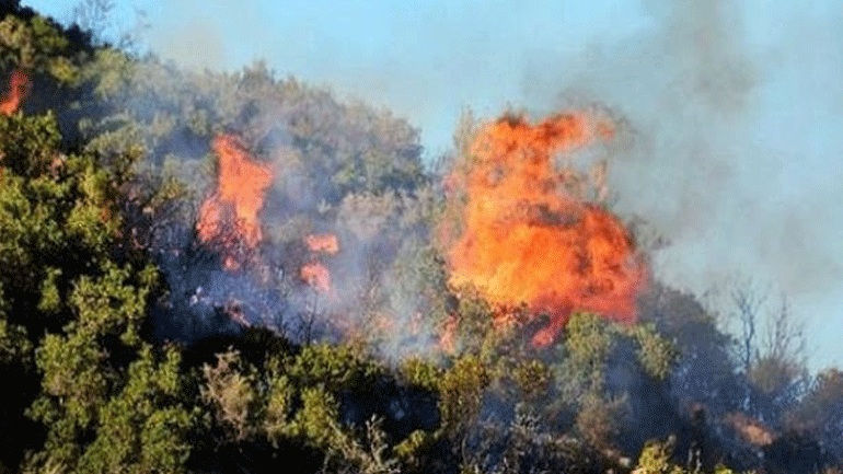 Σε εξέλιξη πυρκαγιά στην Εύβοια