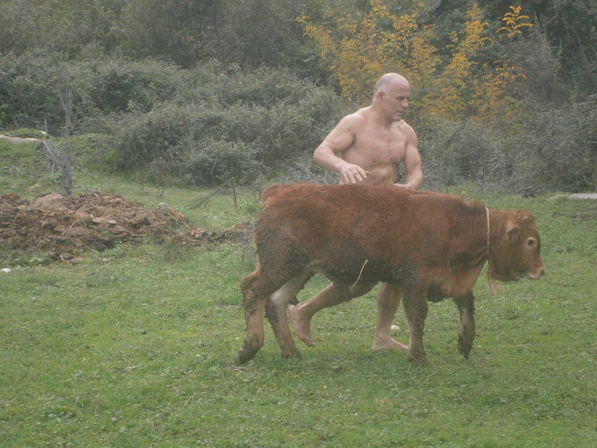 Αντιδράσεις για το βίντεο με τον πρωταθλητή που παλεύει με μοσχαράκια – ΦΩΤΟ – ΒΙΝΤΕΟ