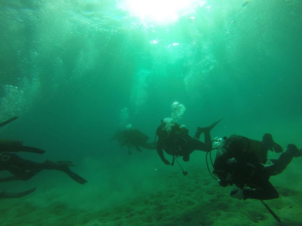 Ο Ναύαρχος Αποστολάκης έγινε ξανά βατράχι – ΦΩΤΟ