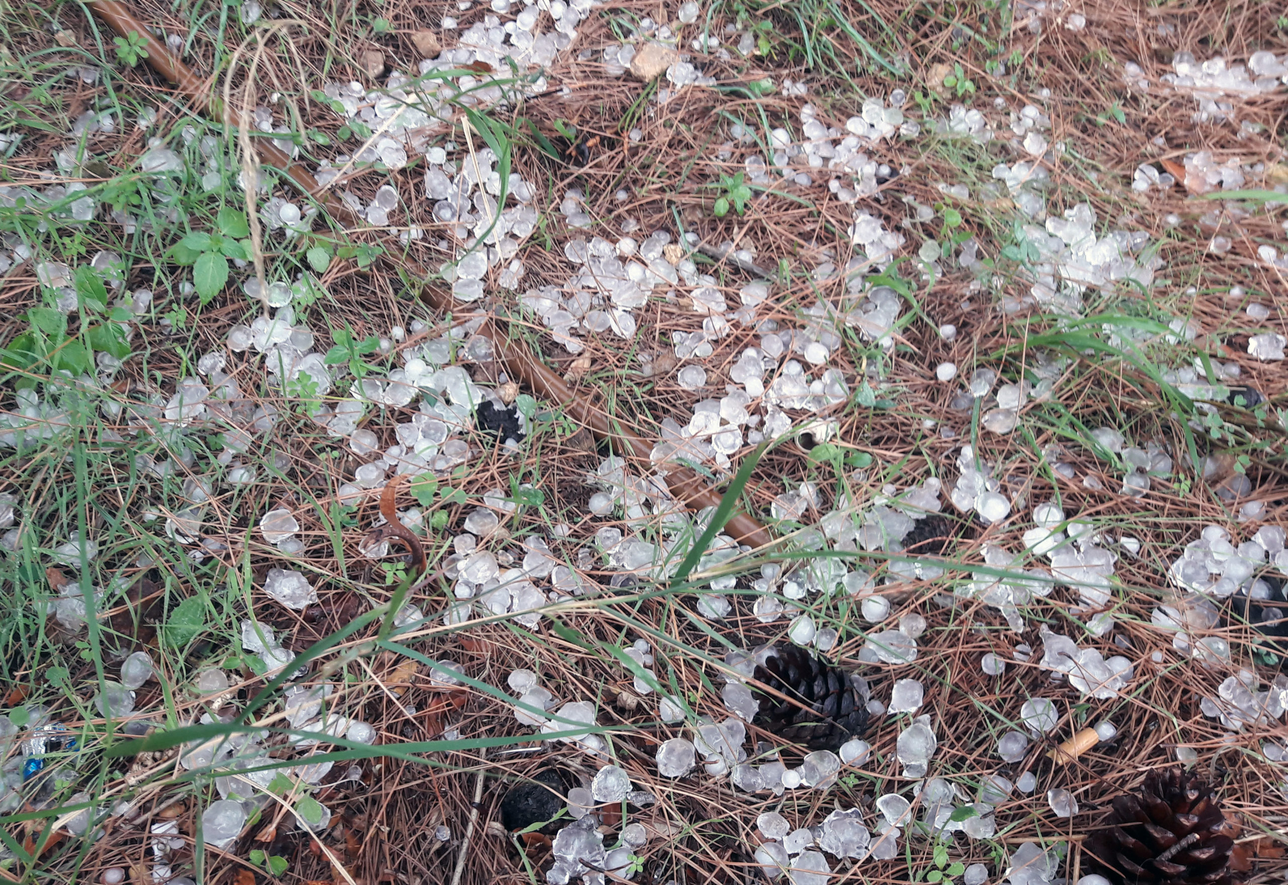 Χαλάζι στην Αθήνα – 18 κλήσεις στην Πυροσβεστική – ΦΩΤΟ – ΒΙΝΤΕΟ