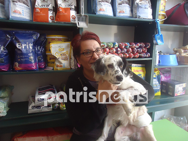 Πυροβόλησαν σκύλο στην Ανδραβίδα – Χειρουργήθηκε αλλά δεν περπατά – ΦΩΤΟ