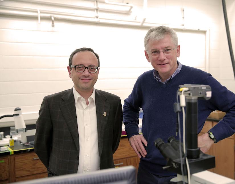 Έλληνας ερευνητής ανακάλυψε νέα μέθοδο για τη δημιουργία χημικών αισθητήρων