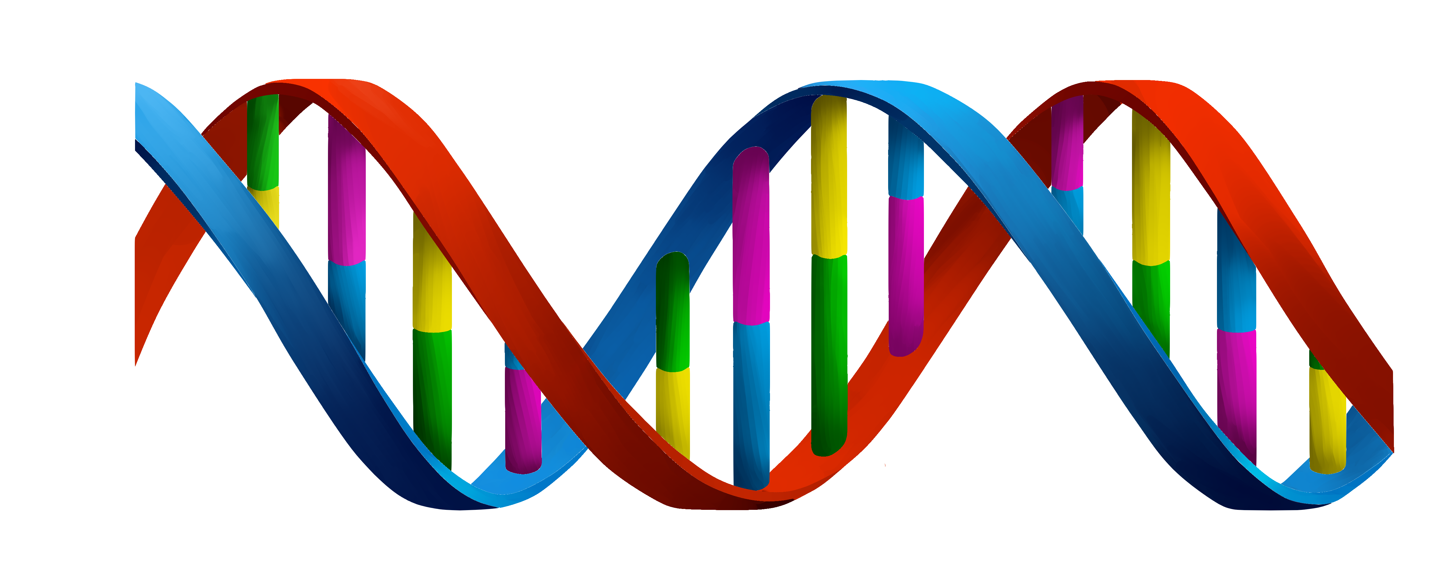 Δώδεκα περιοχές του DNA σχετίζονται με την ηλικία που αποκτούμε το πρώτο μας παιδί