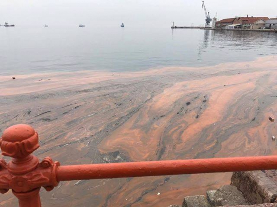 Η «ερυθρά παλίρροια» εμφανίστηκε στον Θερμαϊκό – ΦΩΤΟ