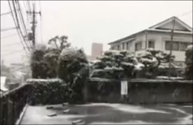 Χιόνι τον Νοέμβριο στο Τόκιο έπειτα από 54 χρόνια – ΒΙΝΤΕΟ