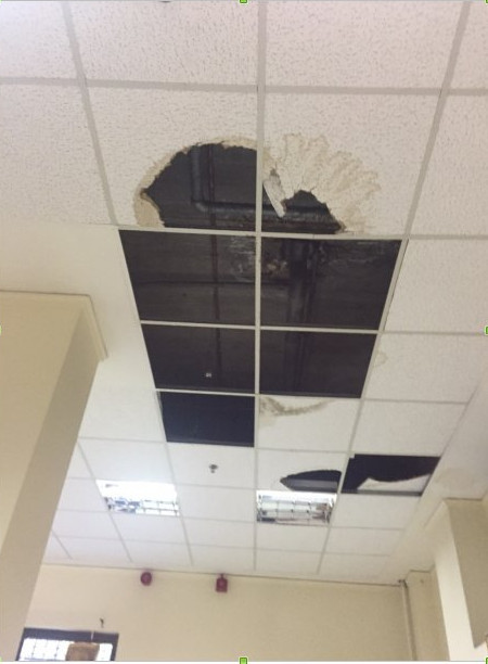 Άθλιες συνθήκες στα δικαστήρια της Ευελπίδων – Ποντίκια και κατσαρίδες πάνω σε δικογραφίες – ΦΩΤΟ