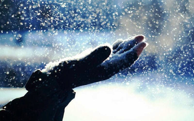 Οι πρώτες νιφάδες χιονιού έκαναν την εμφάνισή τους στο Πήλιο