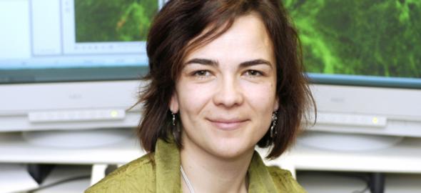 Ελληνίδα αναπτύσσει μεθόδους για την ευκολότερη ανίχνευση του καρκίνου