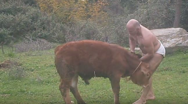 Αντιδράσεις για τον παλαιστή που “μονομαχεί” με μοσχαράκια στα Τρίκαλα – ΒΙΝΤΕΟ