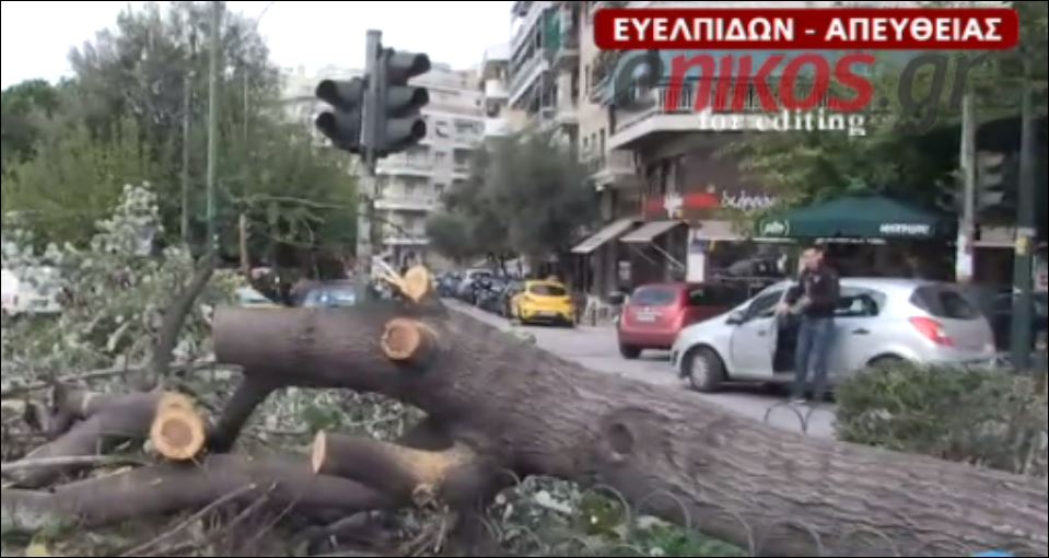 Έπεσε δέντρο από τους ανέμους στην Ευελπίδων – ΒΙΝΤΕΟ