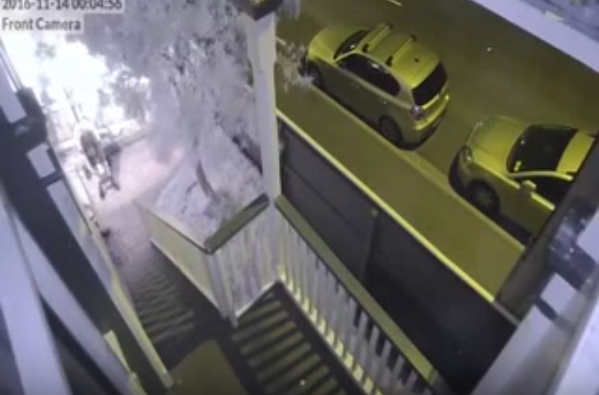 Τρόμος στη Νέα Ζηλανδία από τα 7,4 Ρίχτερ – ΒΙΝΤΕΟ