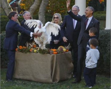 Χάρη από τον Ομπάμα στον Τοτ την γαλοπούλα – ΒΙΝΤΕΟ