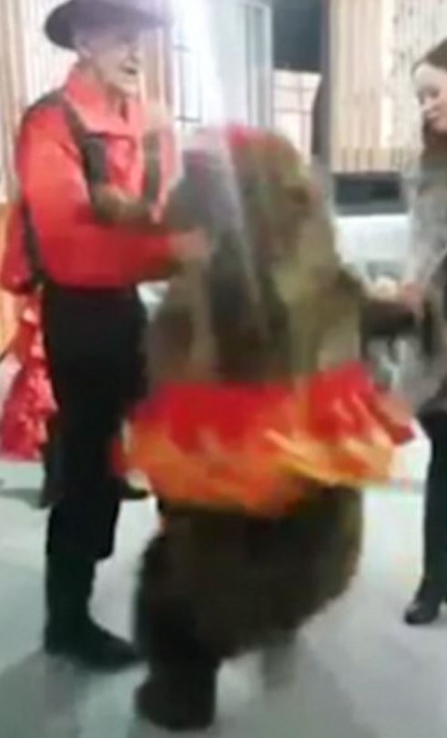 Ρωσία – Αρκούδα επιτέθηκε σε παρουσιάστρια μέσα σε τηλεοπτικό στούντιο – ΒΙΝΤΕΟ