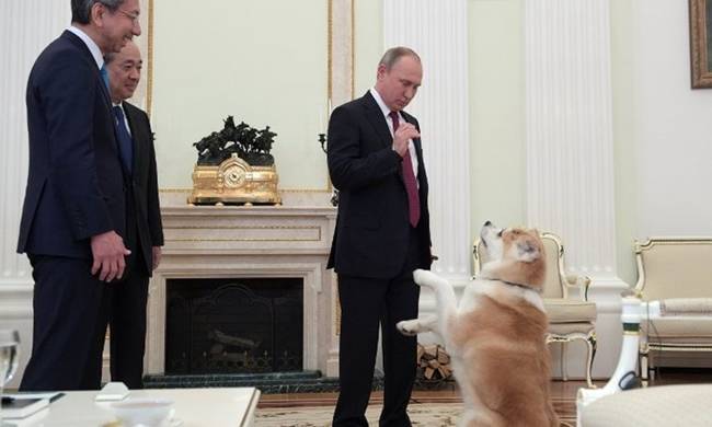 Ποιος Πούτιν…; Ο σκύλος του έκλεψε την παράσταση – ΒΙΝΤΕΟ