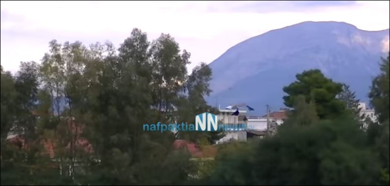 Απίθανο περιστατικό: Γλάρος πήρε το καπέλο φιλάθλου και το έριξε στο γήπεδο – ΒΙΝΤΕΟ