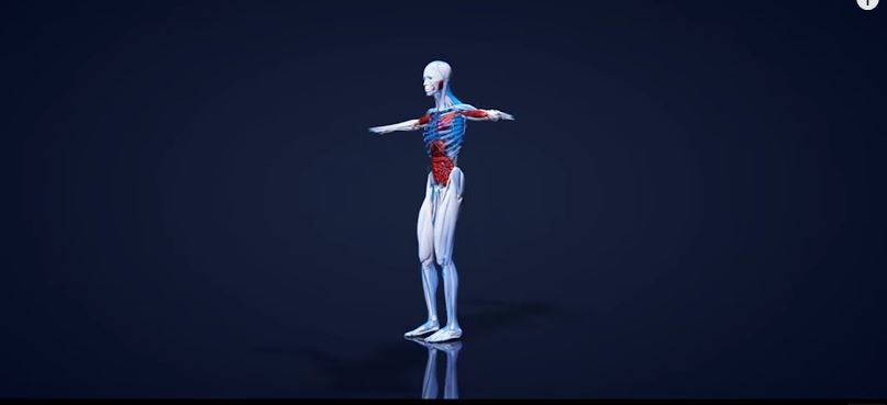 10 περίεργα πράγματα που αποκαλύπτει το σώμα μας για τη ζωή και την προσωπικότητά μας – ΒΙΝΤΕΟ