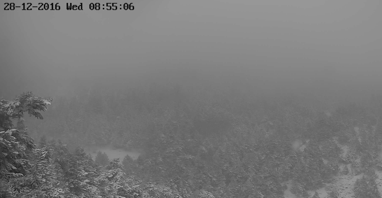 Χιονίζει στην Πάρνηθα – Δείτε Live εικόνα