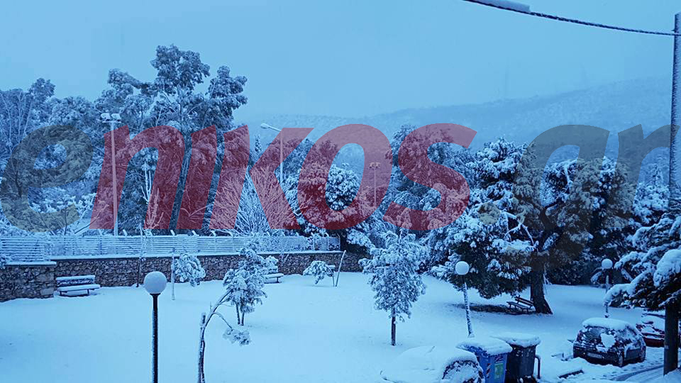 Το “έστρωσε” στο Δαφνί – ΦΩΤΟ