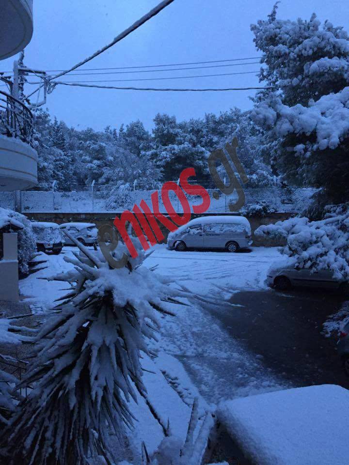 Στη δίνη του χιονιά το Σχιστό Κορυδαλλού – ΦΩΤΟ