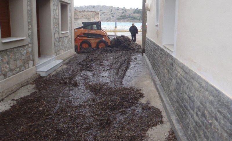 Γέμισαν με φύκια οι δρόμοι στα Καρδάμυλα Χίου – ΦΩΤΟ