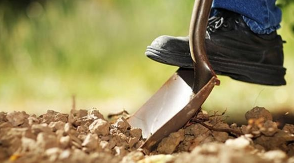 Σοκ – Πατέρας και γιοι κρατούσαν σκλάβους 7 Ρουμάνους