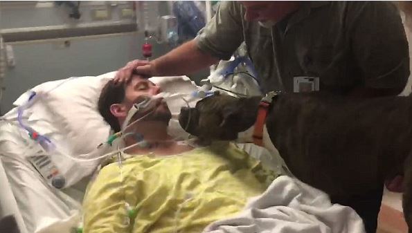 Το βίντεο που έχει συγκινήσει το διαδίκτυο – Σκύλος αποχαιρετά το αφεντικό του