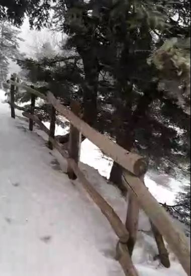 Χιονίζει στην Πάρνηθα – ΒΙΝΤΕΟ