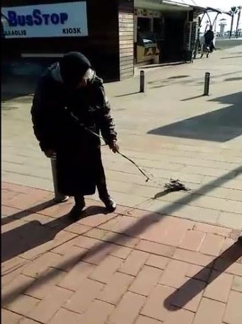 Ηλικιωμένη στην Κύπρο έδεσε τα παπαγαλάκια της και τα έβγαλε βόλτα – ΒΙΝΤΕΟ