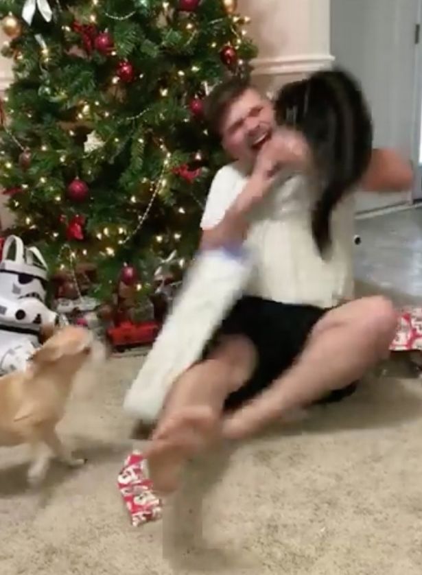 Η επίθεση μίας γάτας στον ιδιοκτήτη της κάτω από το χριστουγεννιάτικο δέντρο – ΒΙΝΤΕΟ