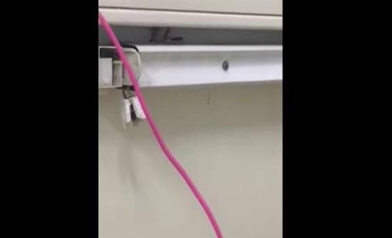 Βίντεο με κατσαρίδες σε νοσοκομείο έδειξε η ΠΟΕΔΗΝ στον Βερναδάκη