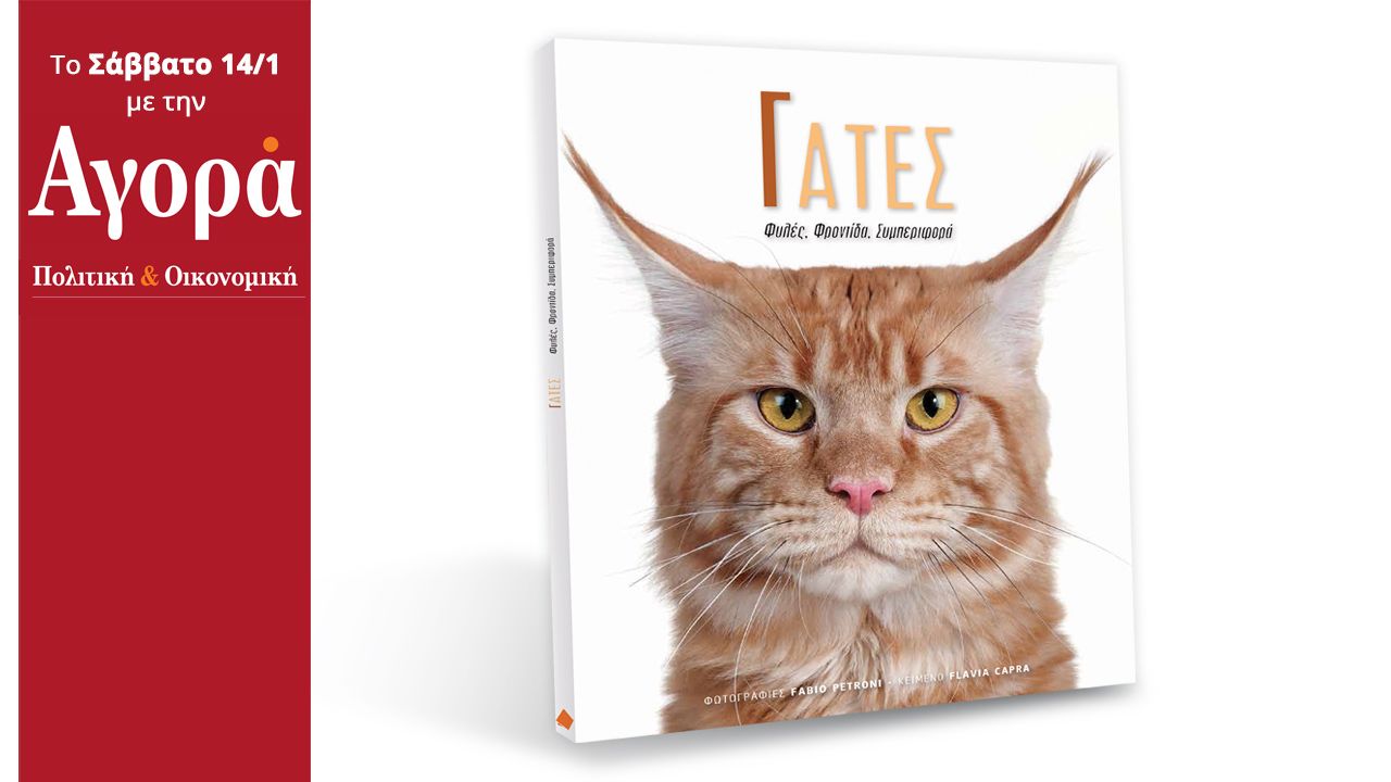 Στην Αγορά που κυκλοφορεί: Γάτες – Το απόλυτο βιβλίο για τα αξιαγάπητα κατοικίδια