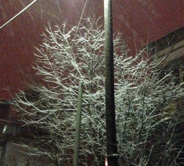 Έντονη χιονόπτωση στην Καστοριά – ΦΩΤΟ