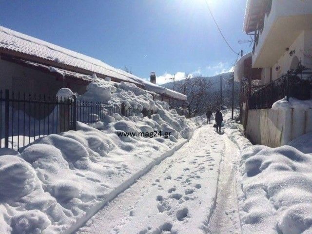 Δεν μπορούν να βγουν από τα σπίτια τους εξαιτίας του χιονιού στη Φθιώτιδα – ΦΩΤΟ