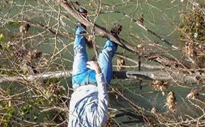 Θεσπρωτία: Έπιασε τον Σταυρό…κρεμασμένος ανάποδα σε ένα δέντρο