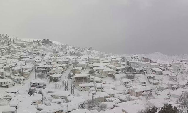 Σώος και ο δεύτερος αγνοούμενος στην Κύμη – ΤΩΡΑ