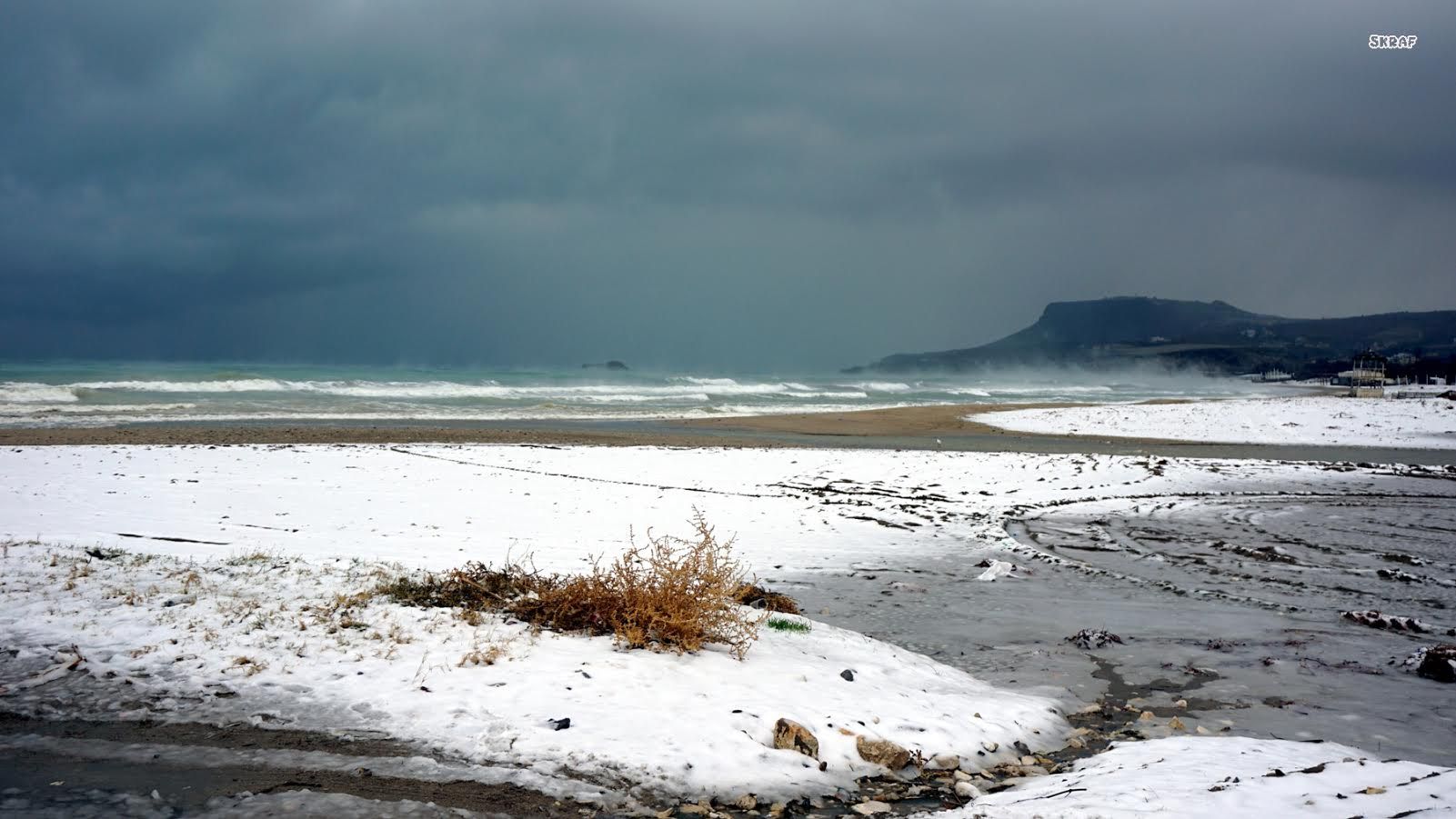 Το ”έστρωσε” σε παραλία της Κρήτης – ΦΩΤΟ