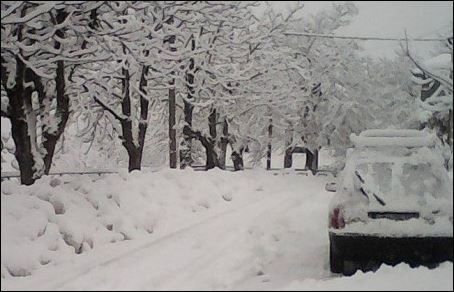 Λαμία – Χιονίζει σε Μπράλο και Δομοκό – Που χρειάζονται αλυσίδες