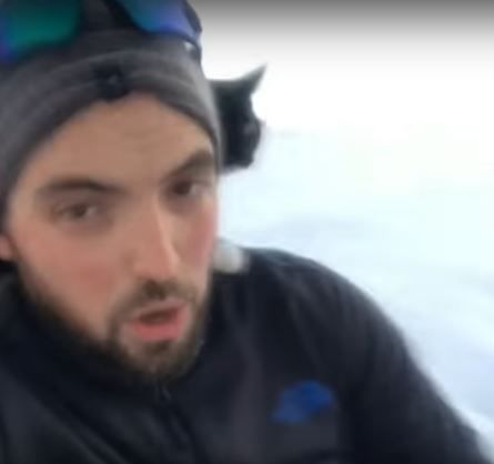 Ο ατρόμητος γάτος που κατεβαίνει τις πλαγιές με έλκηθρο -ΒΙΝΤΕΟ