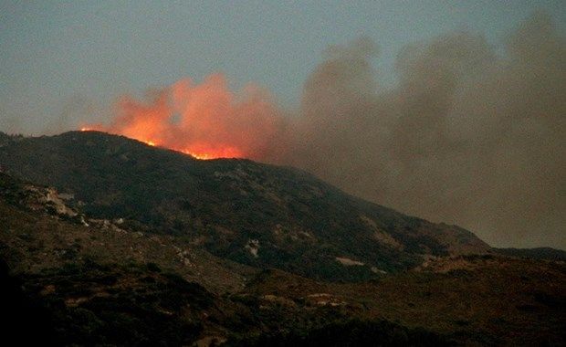 Χιλή – Σε “κατάσταση έκτακτης ανάγκης” το Βαλπαραΐσο λόγω των δασικών πυρκαγιών