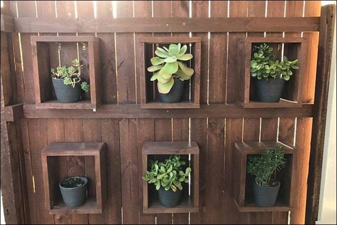 Η φωτογραφία που έχει γίνει viral – Εσύ μπορείς να βρεις το φίδι;