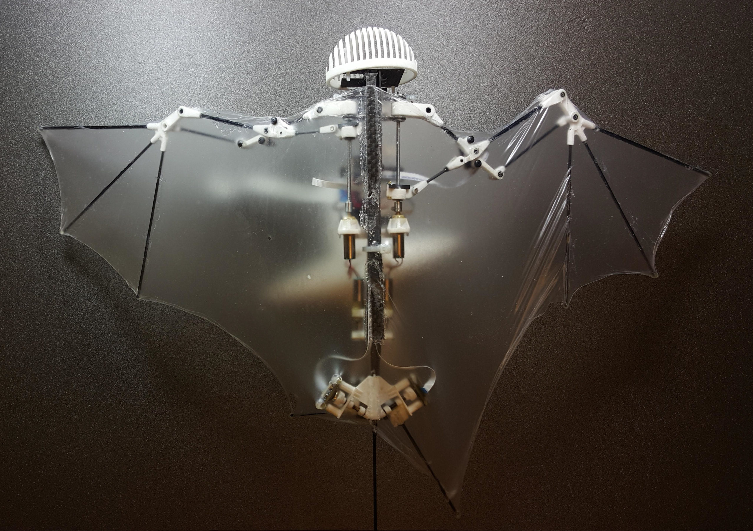 Αμερικανοί ερευνητές δημιούργησαν το πρώτο ρομπότ… νυχτερίδα – ΦΩΤΟ