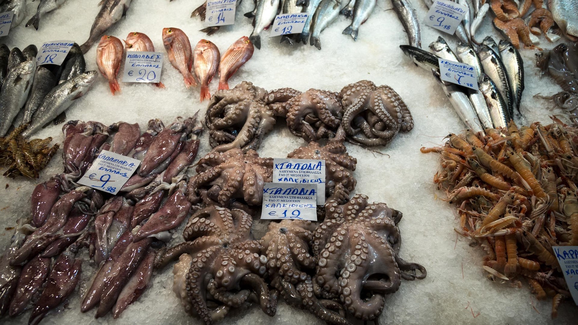 Tι πρέπει να προσέχουν οι καταναλωτές ενόψει Σαρακοστής