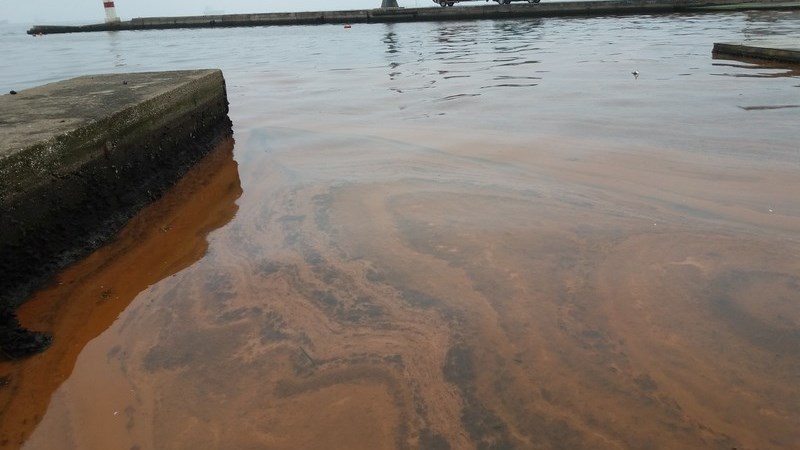 Κόκκινος «βάφτηκε» ο Θερμαϊκός στη Θεσσαλονίκη – ΦΩΤΟ